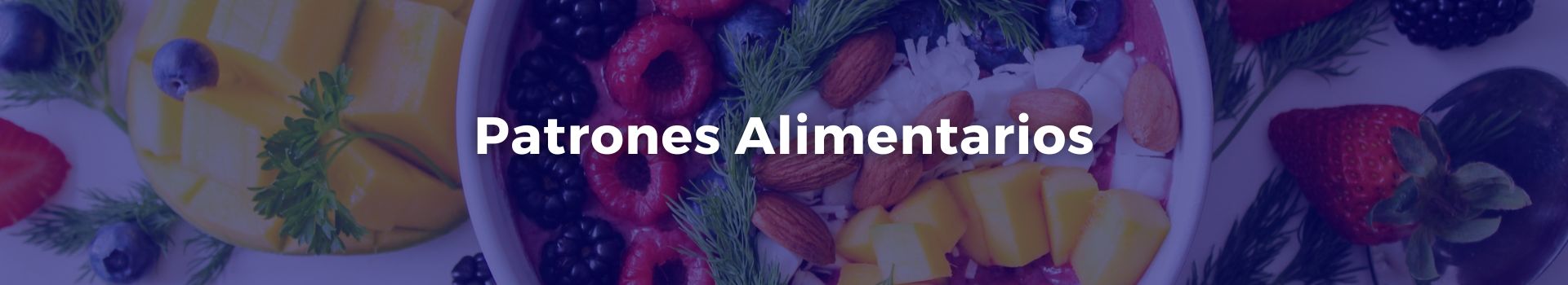 patrones-alimentarios-leticia-lorena-da-costa-leites-veintinueve-banner
