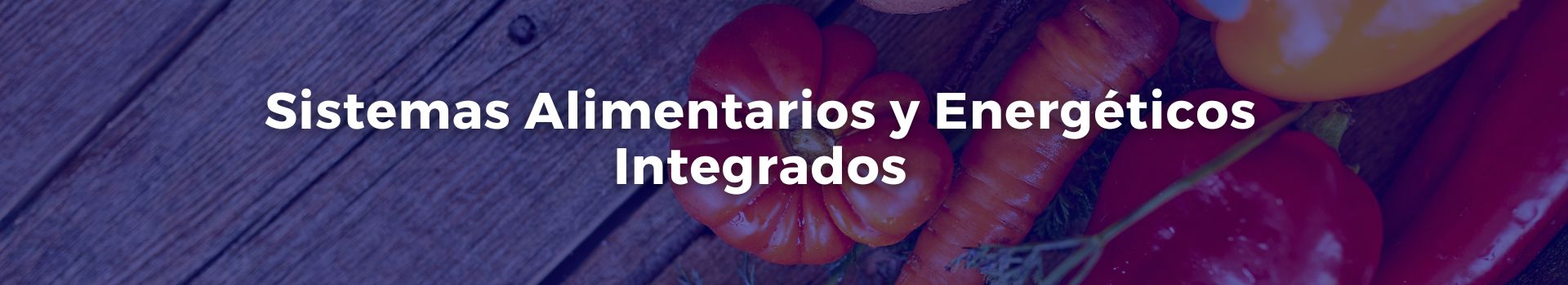 sistemas-alimentarios-y-energeticos-integrados-tobias-roberts-diez-banner