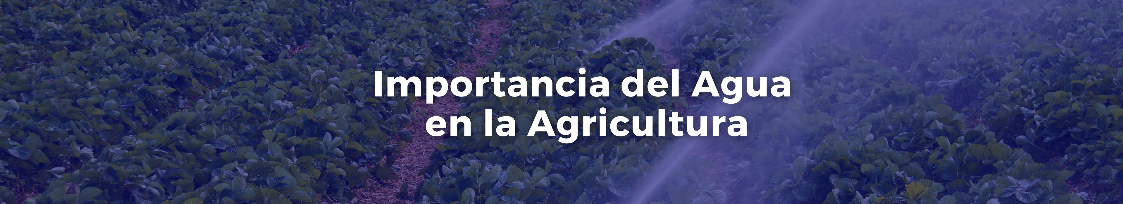 importancia-del-agua-en-la-agricultura-carmen-solorzano-trece-banner