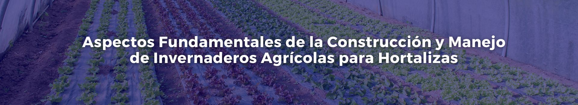 aspectos-fundamentales-de-la-construccion-y-manejo-de-invernaderos-agricolas-para-hortalizas-carmen-solorzano-quince-banner