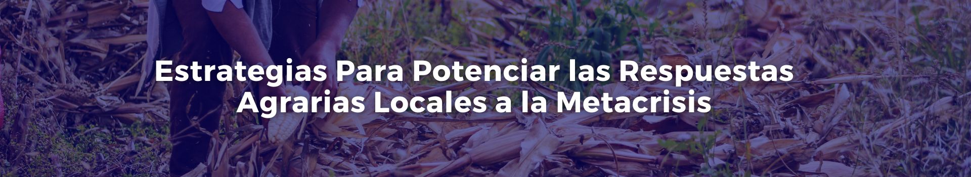 estrategias-para-potenciar-las-respuestas-agrarias-locales-a-la-metacrisis-tobias-roberts-treinta-banner