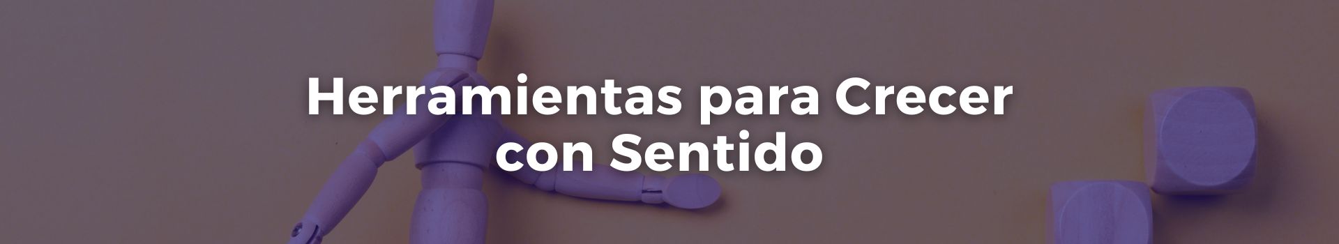 herramientas-para-crecer-con-sentido-maria-del-pilar-cepeda-uno-banner