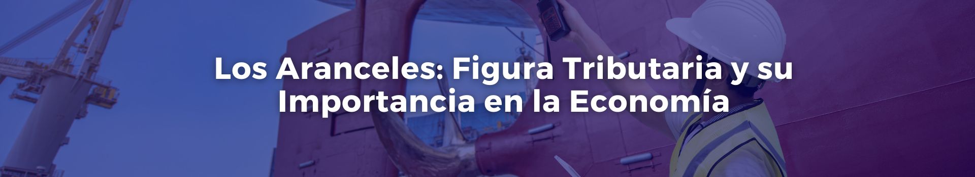 los-aranceles-figura-tributaria-y-su-importancia-en-la-economia-jose-manuel-juanas-seis-banner