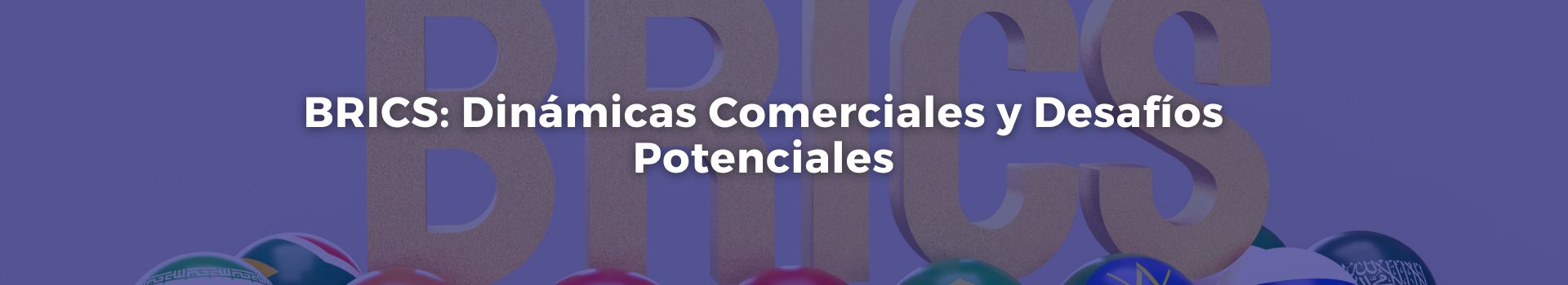brics-dinamicas-comerciales-y-desafios-potenciales-gonzalo-u-fernandez-once-banner