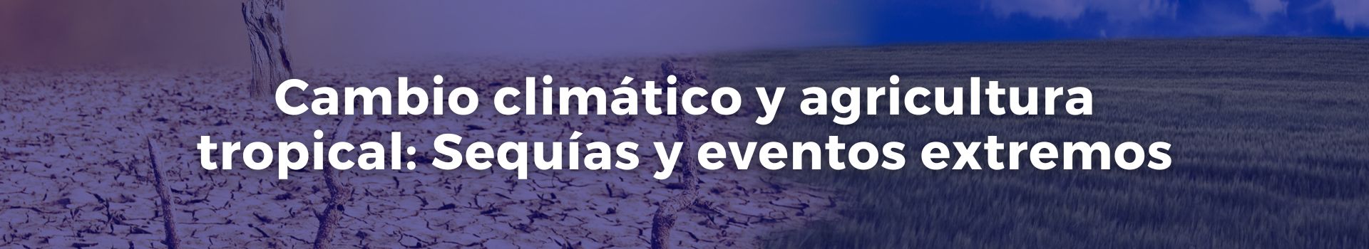 cambio-climatico-y-agricultura-tropical-sequias-y-eventos-extremos-carmen-solorzano-veintinueve-banner