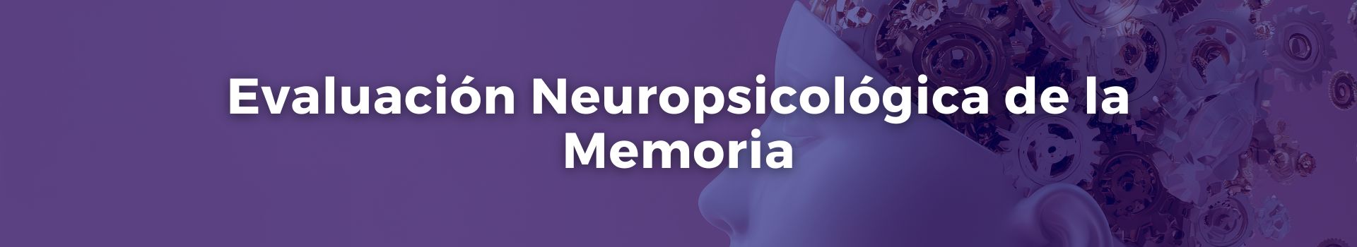 evaluacion-neuropsicologica-de-la-memoria-tamara-luque-cuenca-veintidos-banner