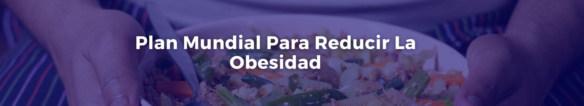 plan-mundial-para-reducir-la-obesidad-leticia-lorena-da-costa-leites-dieciocho-banner
