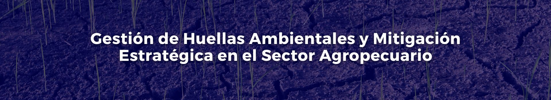 gestion-de-huellas-ambientales-y-mitigacion-estrategica-en-el-sector-agropecuario-maria-del-pilar-cepeda-mendez-diez-banner