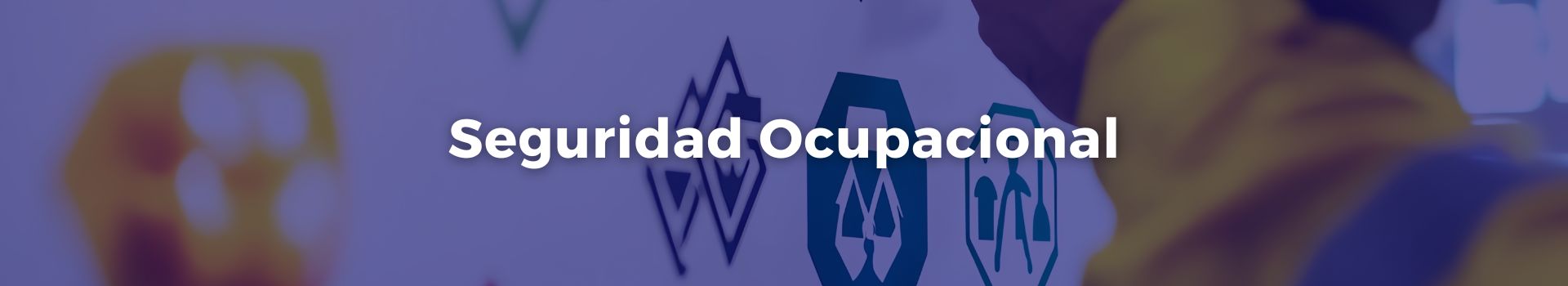 seguridad-ocupacional-vilma-antonieta-chinchilla-valderrama-quintero-dos-banner